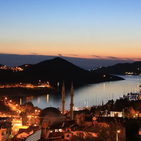 Daire Kasinn Turuncu *