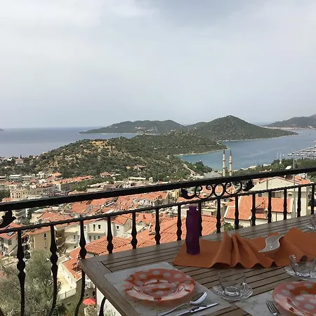 Kasinn Turuncu Kaş